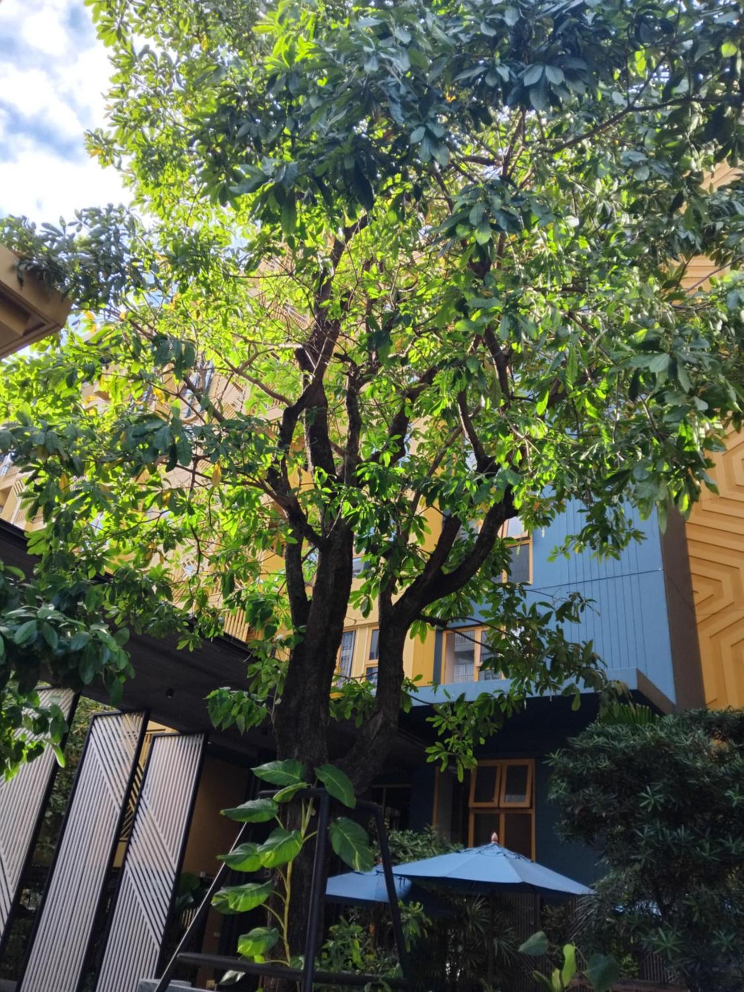 曼谷Brissluxe At Bts Onnut Sukumvit 50公寓 外观 照片
